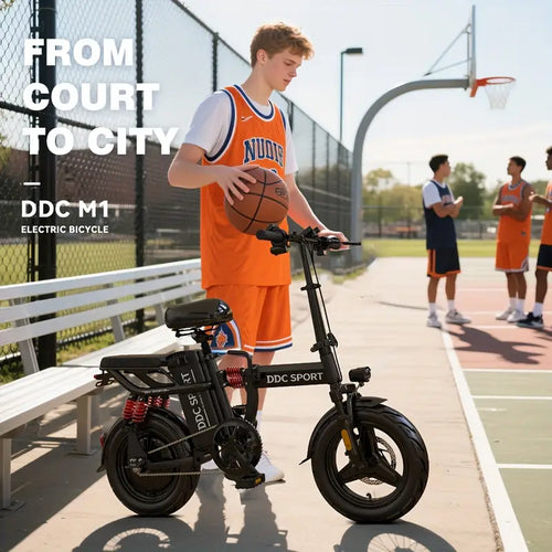 adult electric bike